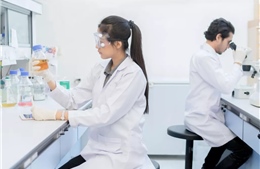 Các nhà khoa học Nga thử nghiệm biến tảo biển thành pin