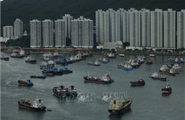 Hong Kong phát cảnh báo cao nhất khi bão Wipha tiến gần