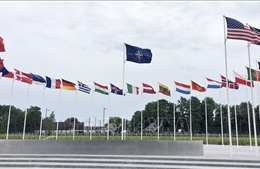 Tổng thống Trump vận động NATO ngừng mua dầu Nga