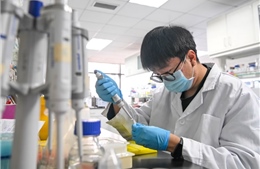 Chảy máu chất xám ngược: Nhân tài Trung Quốc rời Mỹ hồi hương