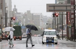 Trung Quốc - Nhật Bản bắt tay nghiên cứu bão