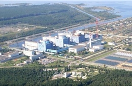 Ukraine bắt nhiều nghi phạm trong vụ điều tra tham nhũng 100 triệu USD ngành năng lượng