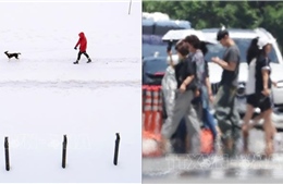 Thời tiết nào nguy hiểm hơn: nhiệt độ cao hay giá lạnh?