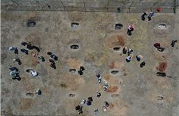 Khi lợn chết trở thành chìa khóa lần tìm nạn nhân của các băng đảng tội phạm Mexico