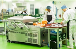 Hạt mầm xanh cho bữa ăn cộng đồng