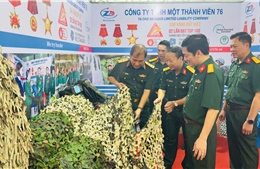 Dấu ấn của Z176 tại Giải thưởng Sao Đỏ năm 2025