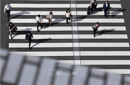 Nhật Bản lập cơ quan giống DOGE của Mỹ để ngăn chặn lãng phí ngân sách