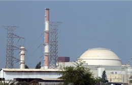 Iran cân nhắc thay nhà thầu Nga cho dự án năng lượng trọng điểm
