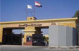 Israel sắp &#39;bật đèn xanh&#39; cho người dân Gaza sang Ai Cập