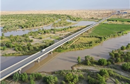 Chiến dịch phủ xanh làm xáo trộn bản đồ nước ở Trung Quốc