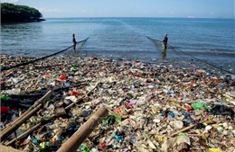 Công nghệ lấy cảm hứng từ cá giúp thu giữ hầu hết vi nhựa