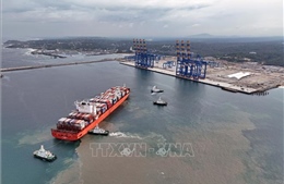 Giải mã việc xuất khẩu của Ấn Độ vẫn tăng mạnh giữa áp lực thuế quan từ Mỹ