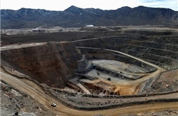 Mỏ đất hiếm lớn nhất châu Âu gặp khó vì… bọ cánh cứng