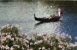 Những xu hướng lớn sẽ định hình ngành du lịch năm 2026