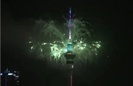 Pháo hoa rực sáng bầu trời một trong những quốc gia đón năm mới sớm nhất thế giới