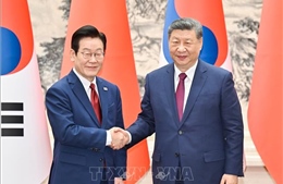 Cuộc gặp của lãnh đạo Trung - Hàn phát đi tín hiệu tới Mỹ và Nhật Bản