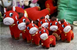 'Chú ngựa khóc' ra đời từ lỗi sản xuất bất ngờ gây sốt tại Trung Quốc