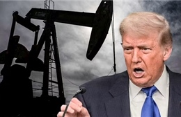 Giá dầu giảm mạnh sau tuyên bố của Tổng thống Trump