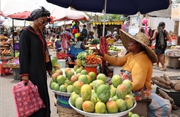 Chiến sự Iran có thể châm ngòi khủng hoảng lương thực