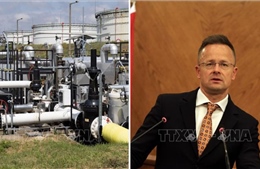 Hungary thông báo dự án đường ống dẫn dầu mới giữa căng thẳng với Ukraine về Druzhba
