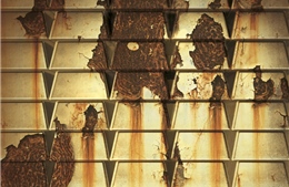 Trung Quốc ra lệnh tịch thu tài sản ở nước ngoài trong vụ án lừa đảo vay vốn bằng vàng giả