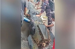 Indonesia điều tra vật thể giống ngư lôi xuất hiện trong vùng biển nước này