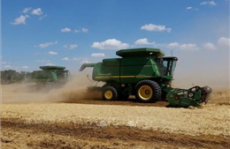 Sóng ngầm ngoại giao Ukraine - Israel bắt nguồn từ tàu chở ngũ cốc