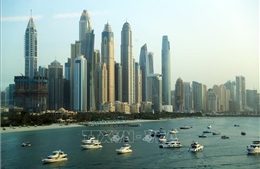 UAE tiếp tục rút khỏi một nhóm các nước xuất khẩu dầu khác