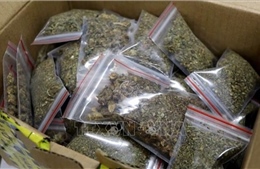 Chiến dịch quốc tế đánh sập 'cao tốc cocaine' trên biển