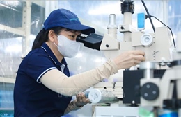 Truyền thông nước ngoài nêu 4 bài học cốt lõi trong cách tiếp cận công nghệ bán dẫn của Việt Nam