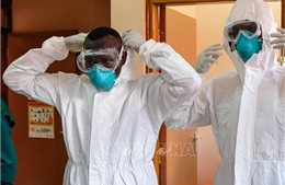 Không phải Ebola hay virus Hanta, đây mới là dịch bệnh nào đáng lo ngại nhất hiện nay