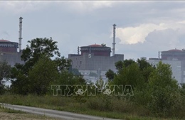 CEO Rosatom lên tiếng về tình hình nhà máy điện hạt nhân Zaporizhzhia