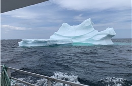 Twillingate - điểm hẹn ngắm băng trôi và cá voi ở Canada