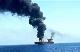 Yemen phá hủy xuồng chở chất nổ của Houthi trên Biển Đỏ