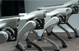 Cách Trung Quốc sử dụng chó robot, AI để bảo đảm an toàn nhà máy điện hạt nhân