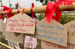 Mang Tết Việt đến gần hơn với bạn bè quốc tế 