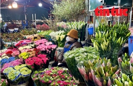 Giá hoa Tết Bính Ngọ có xu hướng tăng