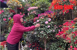 Người lao động ứng phó với giá rét Hà Nội 