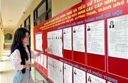 Người dân Thủ đô phấn khởi hướng về ngày hội non sông