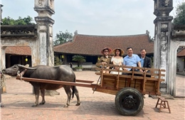 Đi xe trâu khám phá làng cổ Đường Lâm
