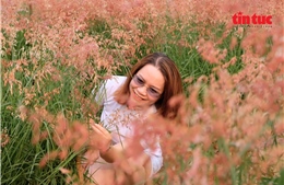 Quyến rũ vườn cỏ hồng dưới chân cầu Long Biên