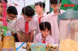 Bồi đắp tình yêu thiên nhiên từ những buổi học trải nghiệm