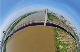 Chiêm ngưỡng vẻ đẹp toàn cảnh của cầu thép dây văng lớn nhất Việt Nam