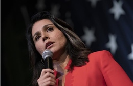 Ông Trump chọn bà Tulsi Gabbard làm Giám đốc Tình báo Quốc gia