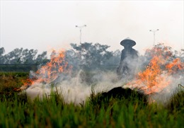 Hà Nội: Nông dân vẫn đốt rơm rạ sau khi thu hoạch, khói phủ trắng ruộng đồng