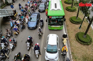Buýt nhanh BRT - Bỏ hay giữ?