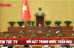 Tin tức TV: Bộ Chính trị xem xét, thi hành kỷ luật tổ chức đảng, đảng viên; Quốc hội chất vấn và trả lời chất vấn