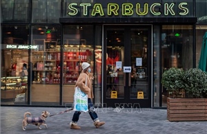 Áp lực cạnh tranh đẩy Starbucks lún sâu vào cuộc đua về giá