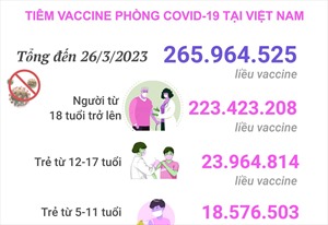 Tình hình tiêm vaccine phòng COVID-19 tại Việt Nam tính đến hết ngày 26/3/2023