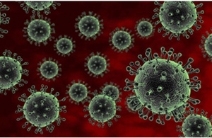 Mỹ ghi nhận thêm ca nhiễm virus cúm gia cầm H5N1 ở người
